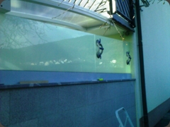 stekleni vetrolov v alu profilu1
