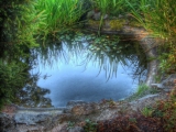 narava1 (11)